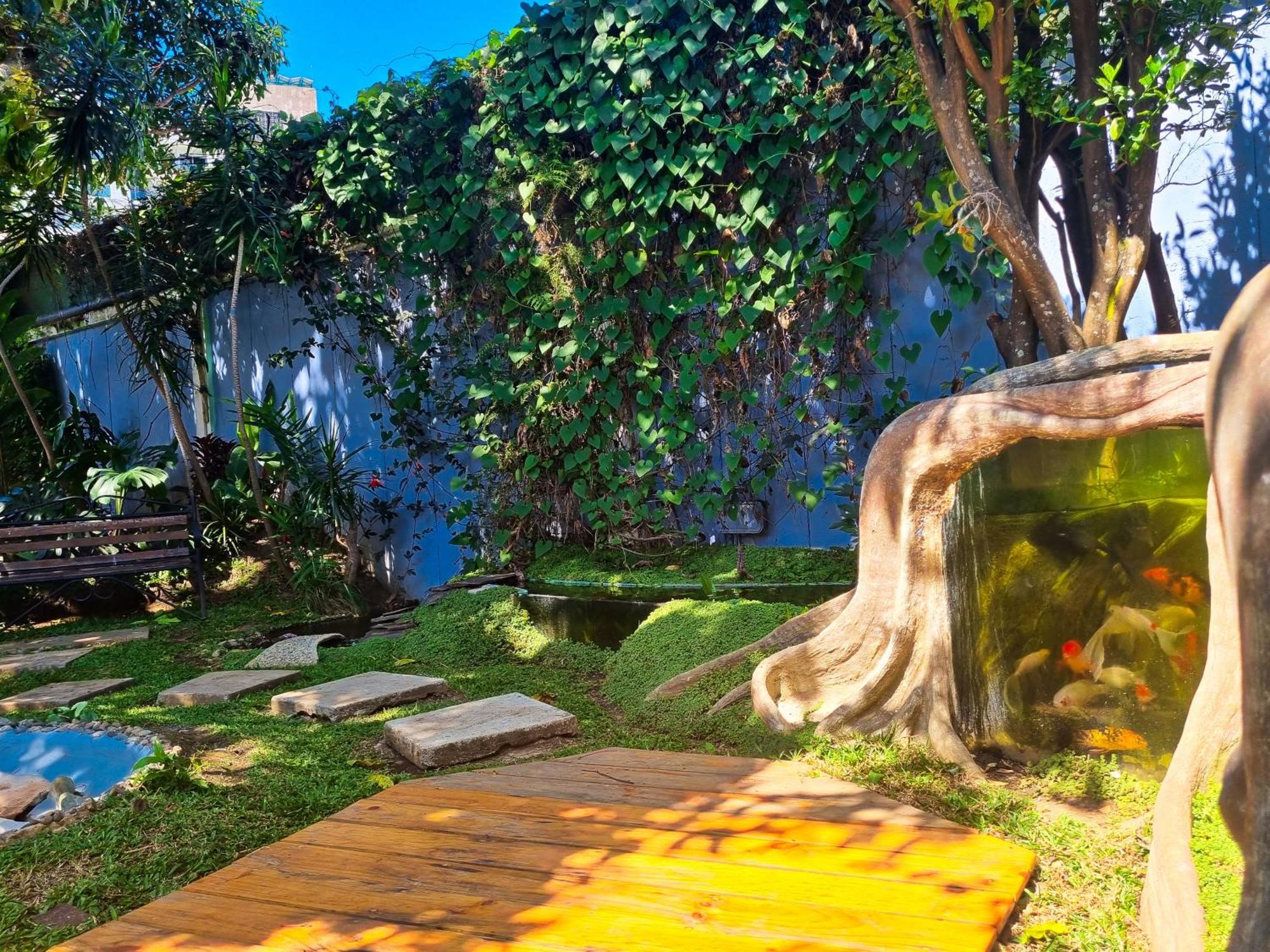 Casa Jardin Del Mango Hotel San Jose  Ngoại thất bức ảnh