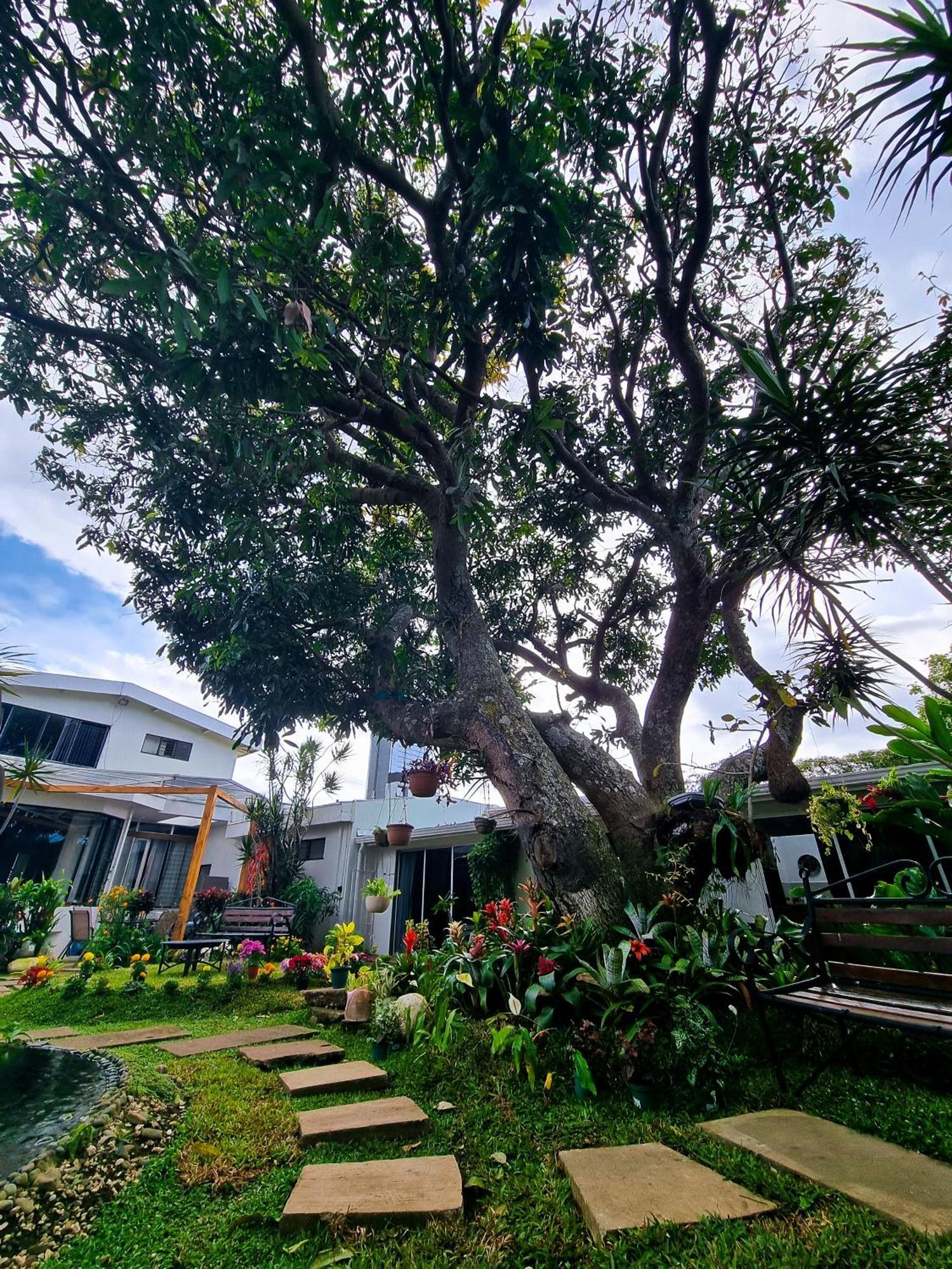 Casa Jardin Del Mango Hotel San Jose  Ngoại thất bức ảnh